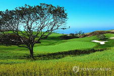 서귀포 스프링데일 골프장  회원 모집