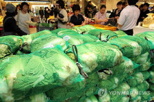 금값 채소 초특가