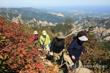 단풍 만끽하는 등산객