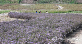 원주시 매립장에 야생화 푸른동산 조성