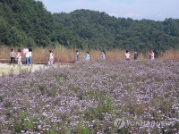 원주시 매립장에 야생화 푸른동산 조성