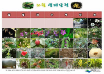 내장산 자연자원 넣은 생태달력 제작