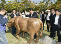 과천에 소가된 게으름뱅이 조형물 설치