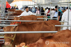 강원축산 한마당 잔치 개막