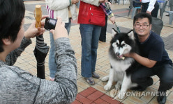 울산대공원서 반려동물 문화축제 열려