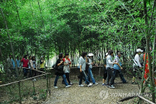 대전현충원 산책길 걸으세요