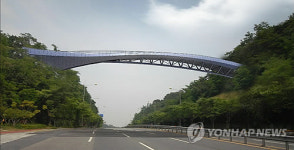 울산 도심산책로 연결할 보행자 전용 교량