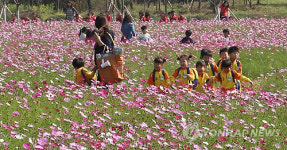 가을꽃 활짝 수도권매립지 드림파크