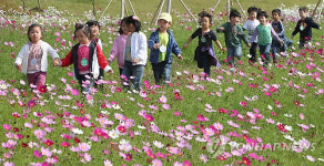 가을꽃 활짝 수도권매립지 드림파크