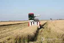 수확 한창인 러시아 연해주 황금 들녘