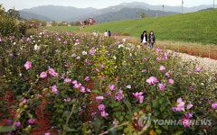 서산 해미읍성에 무궁화동산 조성