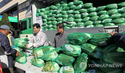 국내산 배추, 저렴하게 팝니다