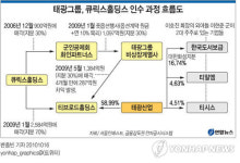 <그래픽> 태광그룹, 큐릭스홀딩스 인수 과정 흐름도