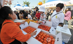 청도반시축제 성황
