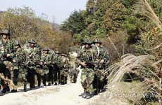 DMZ 억새 속으로..