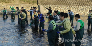 신천을 살립시다