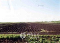 <농업진단> 한국 농업, 해외로 눈 돌릴 때