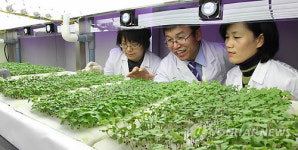 로봇 이용한 미래형 식물농장