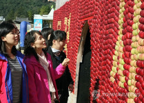 2010 문경사과축제 폐막..판매수익 70억원