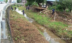 도랑살리기운동 벌이는 담안마을 주민들