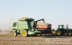 콩 수확하는 연해주 농장