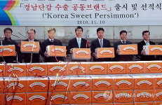 경남단감 Korea Sweet Persimmon브랜드로 수출