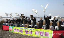 금강호에서 즐기는 군산철새축제 개막