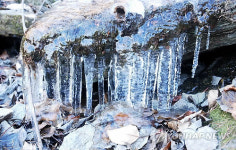 춘천 대룡산에 고드름