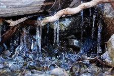 춘천 대룡산에 고드름