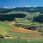 <농업, 해외서 길을 묻다> 스위스