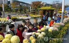 부산평화공원에 국화전시회