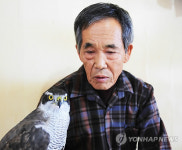 <인터뷰> 매사냥 기능보유자 박정오씨