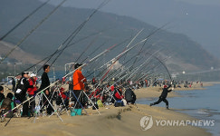 동해 망상해변서 바다릴 낚시대회