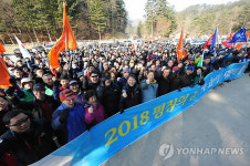 천년의 숲길 따라 걸어요