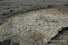 서귀포 해안의 사람 발자국 화석산지