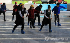 꿈돌이랜드 야외스케이트장 개장