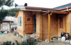 금산 상곡초교에 아토피 학생 전학 줄이어