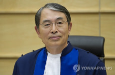 송상현 로마조약 가입국 영토범죄 조사 대상
