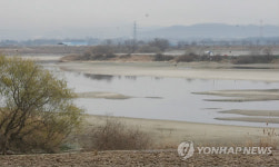 청둥오리 분변에서 AI항원이 발견된 익산  만경강