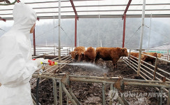 농협사료, 구제역방역비 50억원 지원