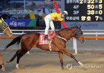 그랑프리(GI) 우승한  미스터파크