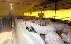 강원도, 구제역 이동통제초소 25곳으로 확대