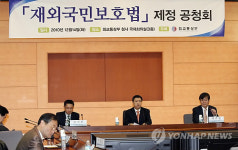 재외국민보호법 제정 공청회