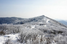 태백산 은빛 세상 변신