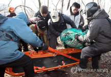 말레이곰 꼬마 병원가자