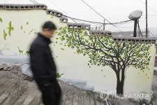 벽화로 화사하게 변신한 장수마을