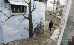 벽화로 화사하게 변신한 장수마을