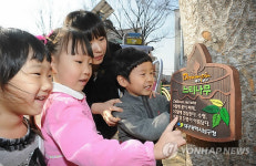 이 나무가 느티나무란다