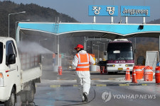 강원 평창 구제역 초비상