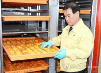 <사람들>청도반시 명품만든 감박사 조기동씨
